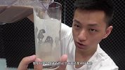 看我把八种虫子搅拌一下！最后的味道大家来了解一下