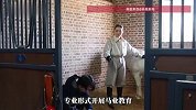 别人家的大学！青岛高校开设国内首个马业本科专业