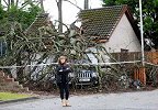惊险！实拍美国一大树突然倒下砸穿屋顶 两名女孩靠冰箱捡回一命
