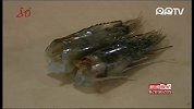 注胶虾天津现身 哈市市场未出现