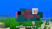 我的世界：你见过热带鱼吗？这是游戏中体积最小的生物！