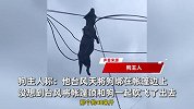 猎狗台风天连窝被吹飞，挂4米高电线上死亡，狗主：2万8元买的