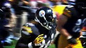 NFL-1516赛季-常规赛-第5周-匹兹堡钢人的通向第50届超级碗之路-专题