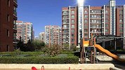 小区高空抛下粪便 物业挨家敲门没人承认