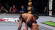 UFC-16年-格斗之夜89倒计时：科特的重拳已饥渴难耐-专题