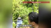 车辆刹车失控坠落30米山崖，车主仅胳膊擦伤：车还能开，可能爷爷奶奶在保佑我