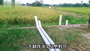 印度小伙真牛！用塑料管就制作出风驰电挚的快艇，真是高手在民间