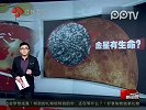 金星有生命金星上蝎状物质明显动感
