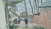女子坐三轮车上一棵大树突然砸在身后，当事人：车杠瞬间就扁了