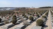 男子将父亲送回老家和生母合葬遭继母起诉 生母已去世几十年