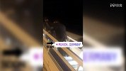 德甲-1718赛季-回家啦！拜仁班师回朝备战莱比锡 刘星里贝里自拍抢镜-专题
