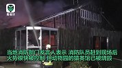 或因跨年夜非法燃放纸灯 德国动物园30多只动物被烧死损失百万