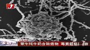 蒙牛纯牛奶含致癌物 毒素超标1.4倍-12月26日