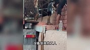 广西一砖厂疑招残障人士做苦力，工头称生病者会被丢弃，警方通报