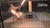 劲爆 ioSafe技术带你近距离感受人和电的效果-zhengzhou518