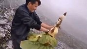 男子手撕珍稀植物 发小视频遭传唤 专家表示一生只开一次花