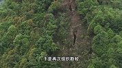 现场！贵州一地疑山体开裂现巨大裂痕，村民称看不见底，当地回应