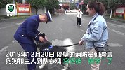 还记得那个消防警报一响就嗷嗷叫的狗子吗？它受邀参观消防队