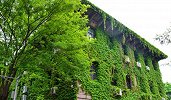清华大学新闻与传播学院将取消本科 扩大研究生招生