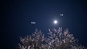 抬头有星光！重庆昨晚夜空现罕见“双星拱月”奇观
