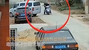 【江苏】黑心！为卖狗肉火锅 饭店老板2小时毒死8条狗