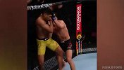 UFC一招KO！被逼角落抓准机会一脚膝踢重击
