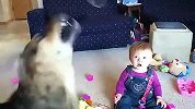 [搞笑]狗狗追泡泡小宝宝乐疯了