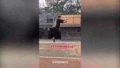 北体大有轻功专业？学长腾空飞跃66个杯子 学妹踩空气走4步