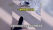 男子地铁上脱鞋，一旁乘客趁关门将鞋一脚踢出车厢，网友直呼解气
