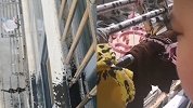 道歉洗衣擦墙！熊孩子泼墨水楼下邻居全遭殃 父母反应让网友点赞