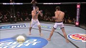 UFC-14年-UFC自由格斗：席尔瓦vs拉莫斯-专题
