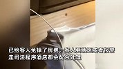 男子被酒店床上10厘米乱爬蜈蚣咬伤，客服：突发情况，会配合处理