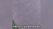 佛山鸟屎袭城？官方：呼吁理性对待，无需恐慌