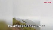 “不给钱就把孩子领回去养”，8岁男孩山中游玩失联，家属发声