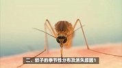 蚊子什么季节就没有了？揭秘季节变化的秘密
