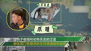 昔日的丛林之王正在告别地球 2021年野生老虎或将灭绝