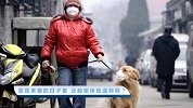【宠物星球】雾霾来袭的日子里 还能愉快地遛狗吗？
