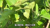 白水煮茄子家常做法