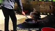 大爷：老伴赶紧烧水_大鹅：正好洗热水澡