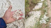 甘肃环县遭遇暴雨冰雹 持续近半小时