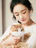 杨幂调皮逗猫