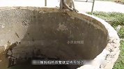 猴妈妈有多聪明，居然会用尾巴营救落水的孩子