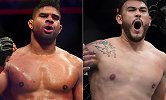 UFC五战全胜三次KO 这个重量级新星要和铁锤硬碰硬