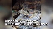 大学生暑假返校开门后瞬间傻眼：整个宿舍都是霉味，被褥无一幸免