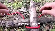 十字捆绑结，捆绑花园围栏，捆扎风筝骨架，搭建花架很好用