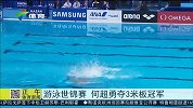水上项目-15年-游泳世锦赛 何超勇夺3米板冠军-新闻