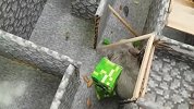 小仓鼠挑战《我的世界》主题迷宫陷阱