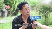探访“中国第一蛇村”，最高峰时近百户村民养了300多万条蛇