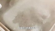 原来做狗肉火锅也有技巧，掌握这几点，肉香皮糯，闻着就想吃！