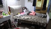 睡梦中吊灯连同天花板突然掉下 女租客被砸醒：以为自己要死了